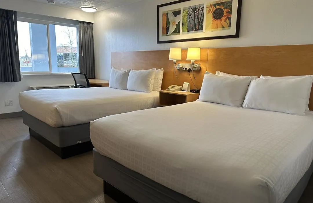 Hotel Nexus; BW Signature Collection-1